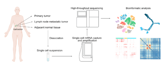 16294223666108.png 1629422364(1).png