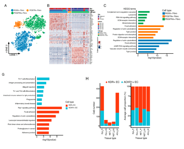 16294226683859.png 1629422666(1).png