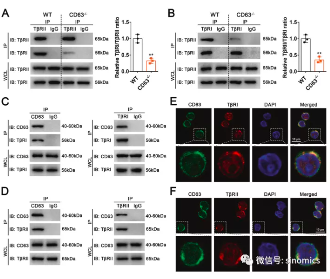 16306314568200.png 1630631456(1).png