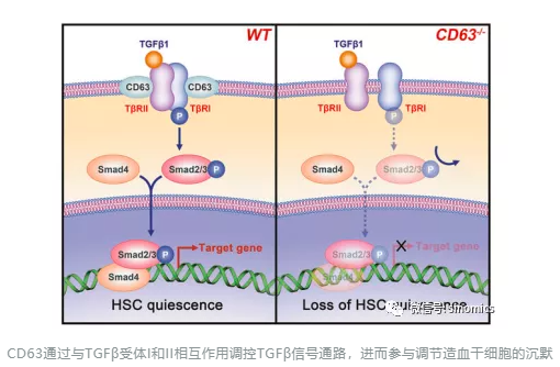 16306314972186.png 1630631493(1).png