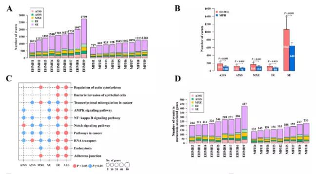16406762007516.jpg 2.jpg