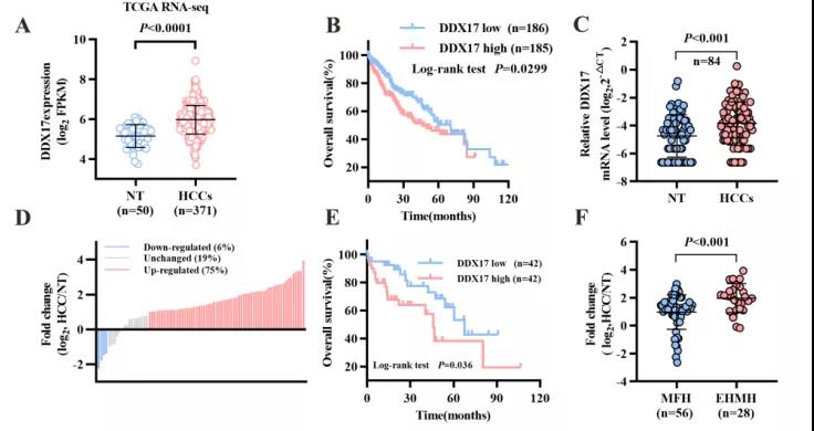 16406762199148.jpg 4.jpg