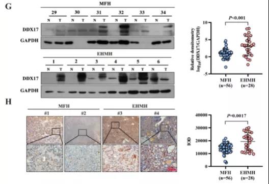 16406762499697.jpg 41.jpg