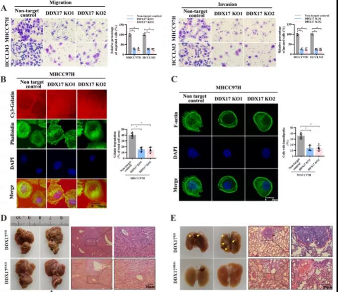 16406762607460.jpg 5.jpg