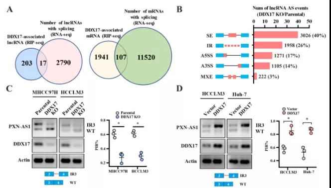 16406762688540.jpg 6.jpg