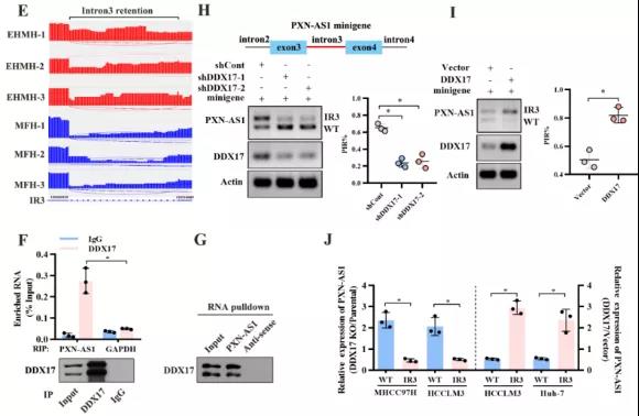 16406762835127.jpg 61.jpg