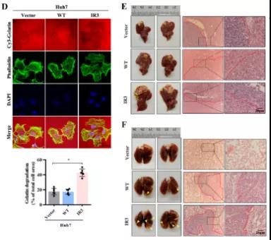 16406762994796.jpg 7.jpg