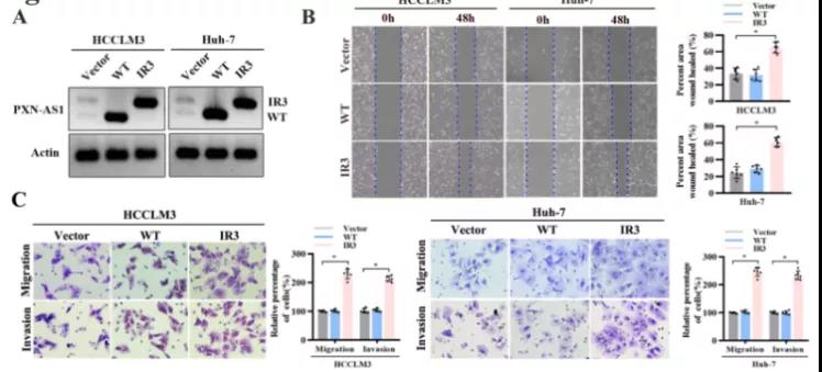 16406763241861.jpg 71.jpg