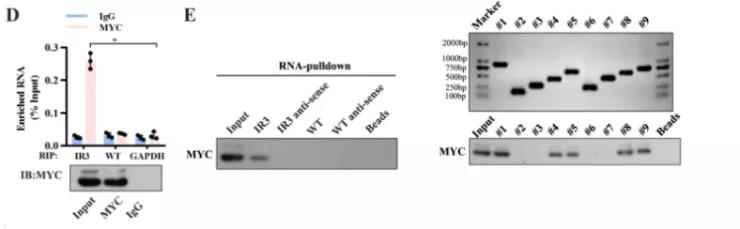 16406763435595.jpg 8.jpg