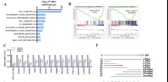 16406763828751.jpg 81.jpg