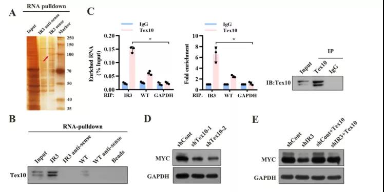 16406763949410.jpg 9.jpg