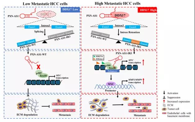 16406764046946.jpg 10.jpg