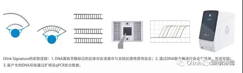 16406772258845.jpg 312.jpg