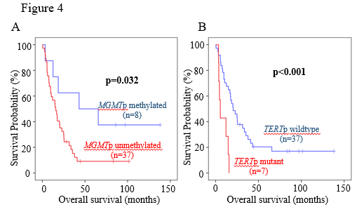 16499024682208.png 15.png