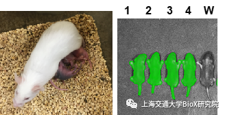 16499038218476.png 13.png