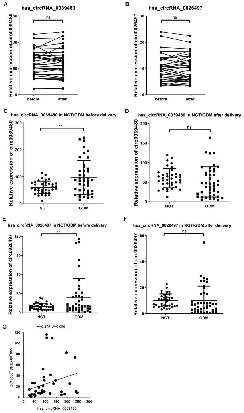 16570754725525.jpg 2.jpg