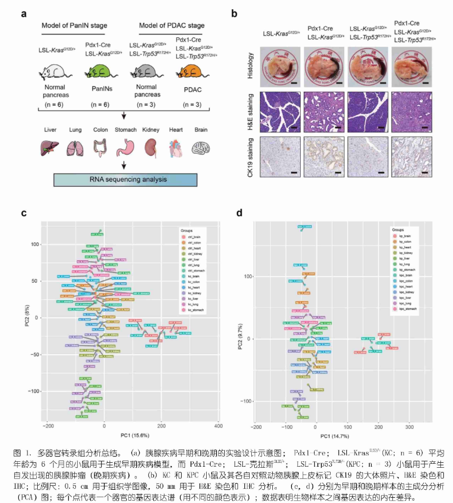 16570766734031.png 11.png