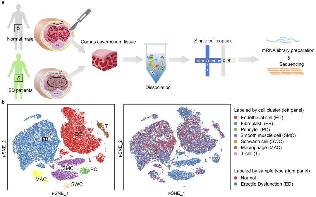 16608756153739.png 16608756153739.png