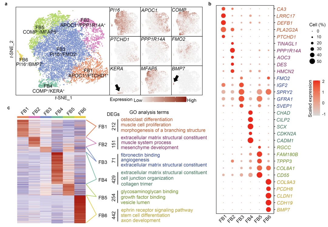 16608759079362.png 16608759079362.png