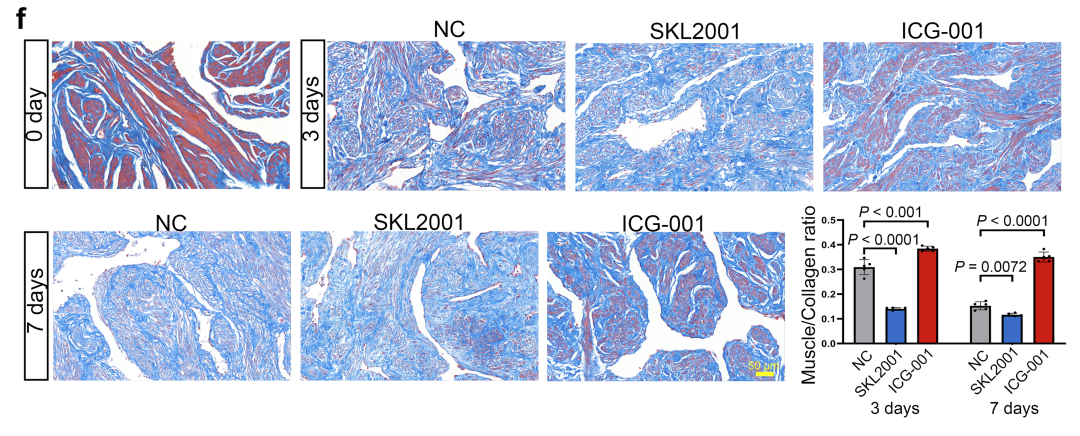 16608760991632.png 16608760991632.png