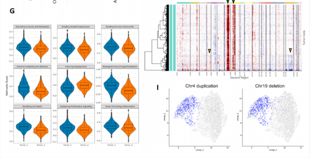 16860270119630.png 1686027032209.png