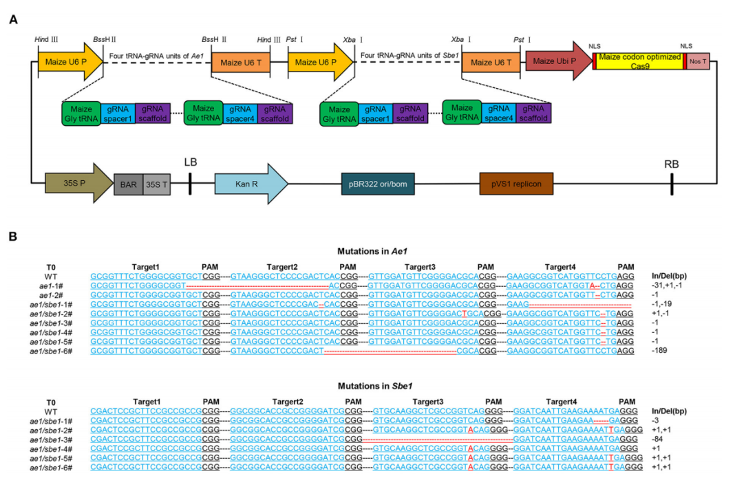 16860283657918.png 16860283657918.png