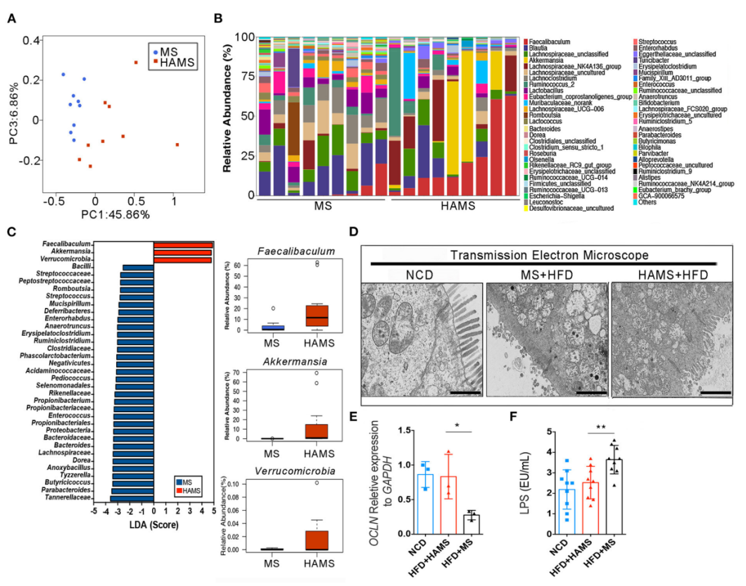 16860285048835.png 16860285048835.png