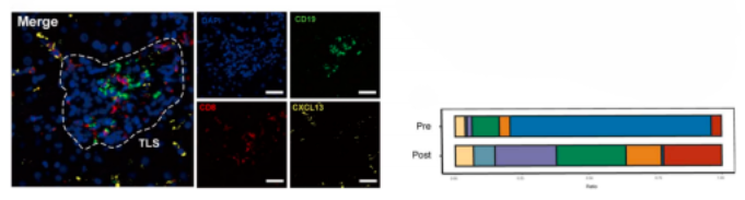 16860345132322.png 1686034534244.png