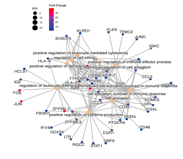 16860345694062.png 1686034586013.png