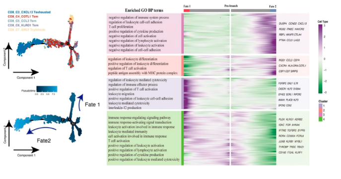 16860346203578.png 1686034639278.png