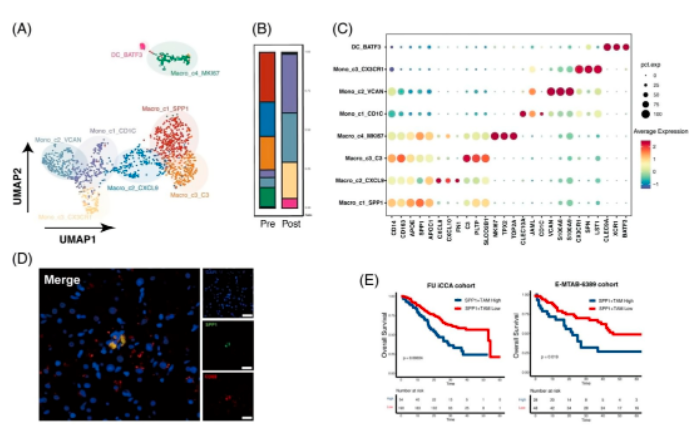 16860346406544.png 1686034655082.png