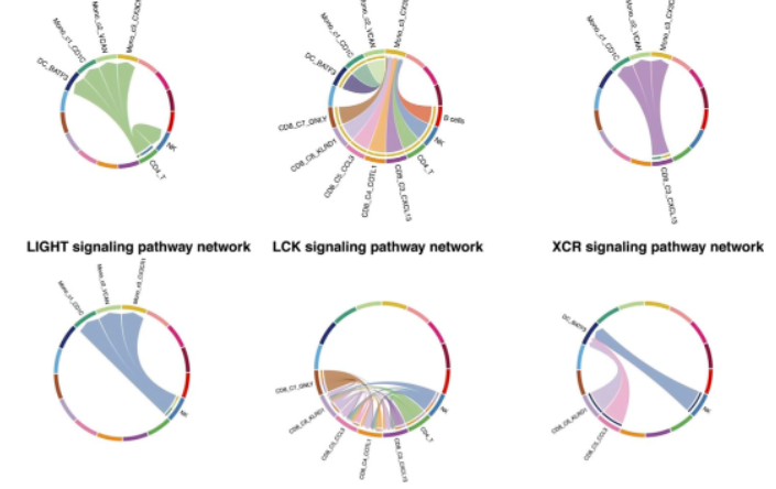 16860346861190.png 1686034706377.png