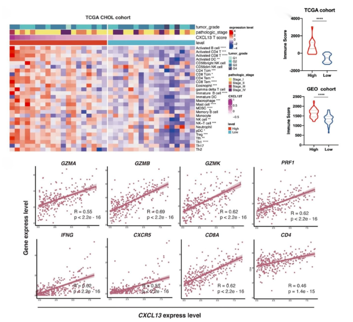 16860347145322.png 1686034731600.png