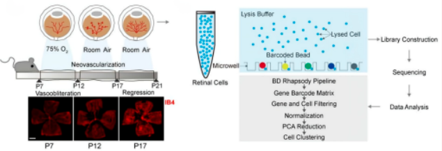 16860350671407.png 1686035084424.png