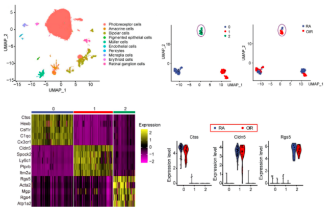 16860350868323.png 1686035103067.png