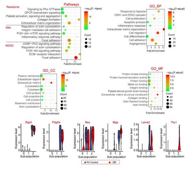 16860351173584.png 1686035121121.png