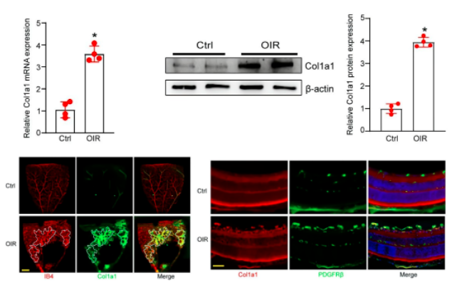 16860351795507.png 1686035194600.png