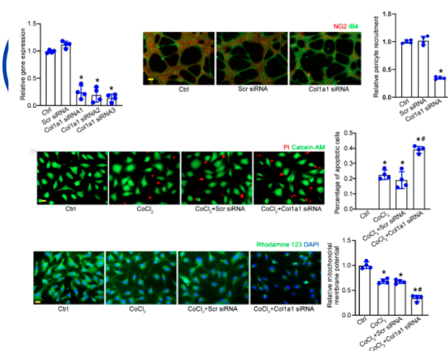 16860352246302.png image.png