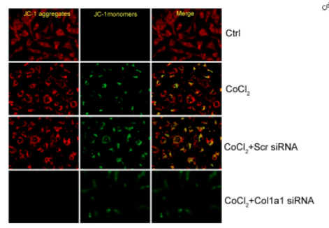 16860352431478.png 1686035263896.png