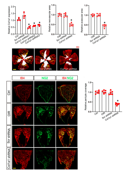 16860352589599.png 1686035279272.png