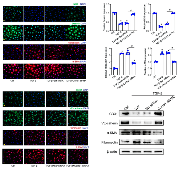 16860352829694.png 1686035299289.png