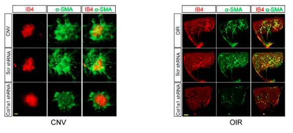 16860352966560.png 1686035316492.png