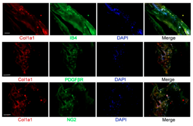 16860353128341.png 1686035333273.png