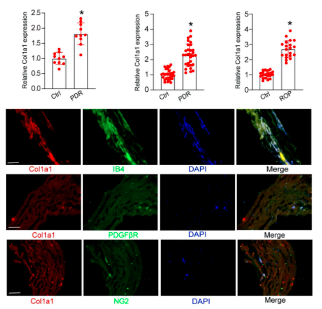 16860353306944.png 1686035350838.png