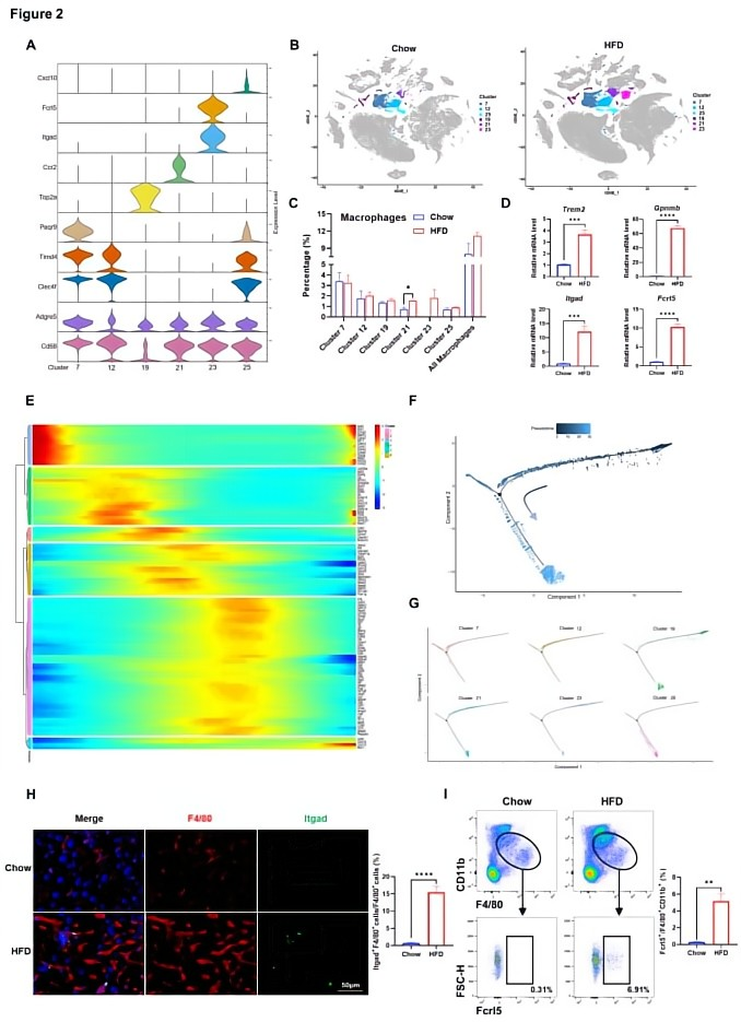 16860357438534.png 33.png