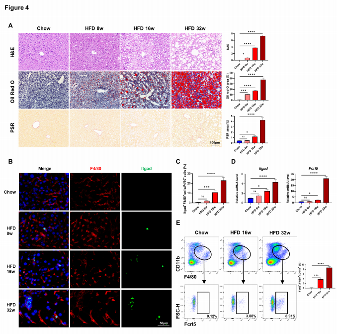 16860357595540.png 35.png