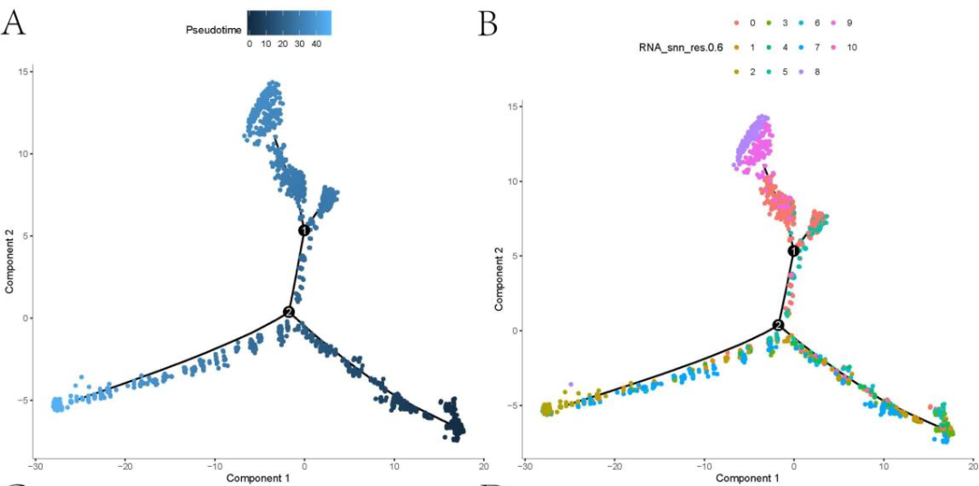 16860364637551.png 16860364637551.png