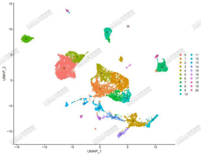 16956962435147.png 11.png