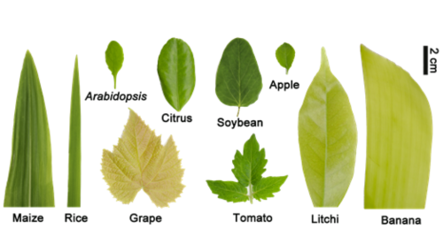 16957079173598.png 3.png