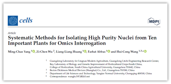 16957079267559.png 2.png